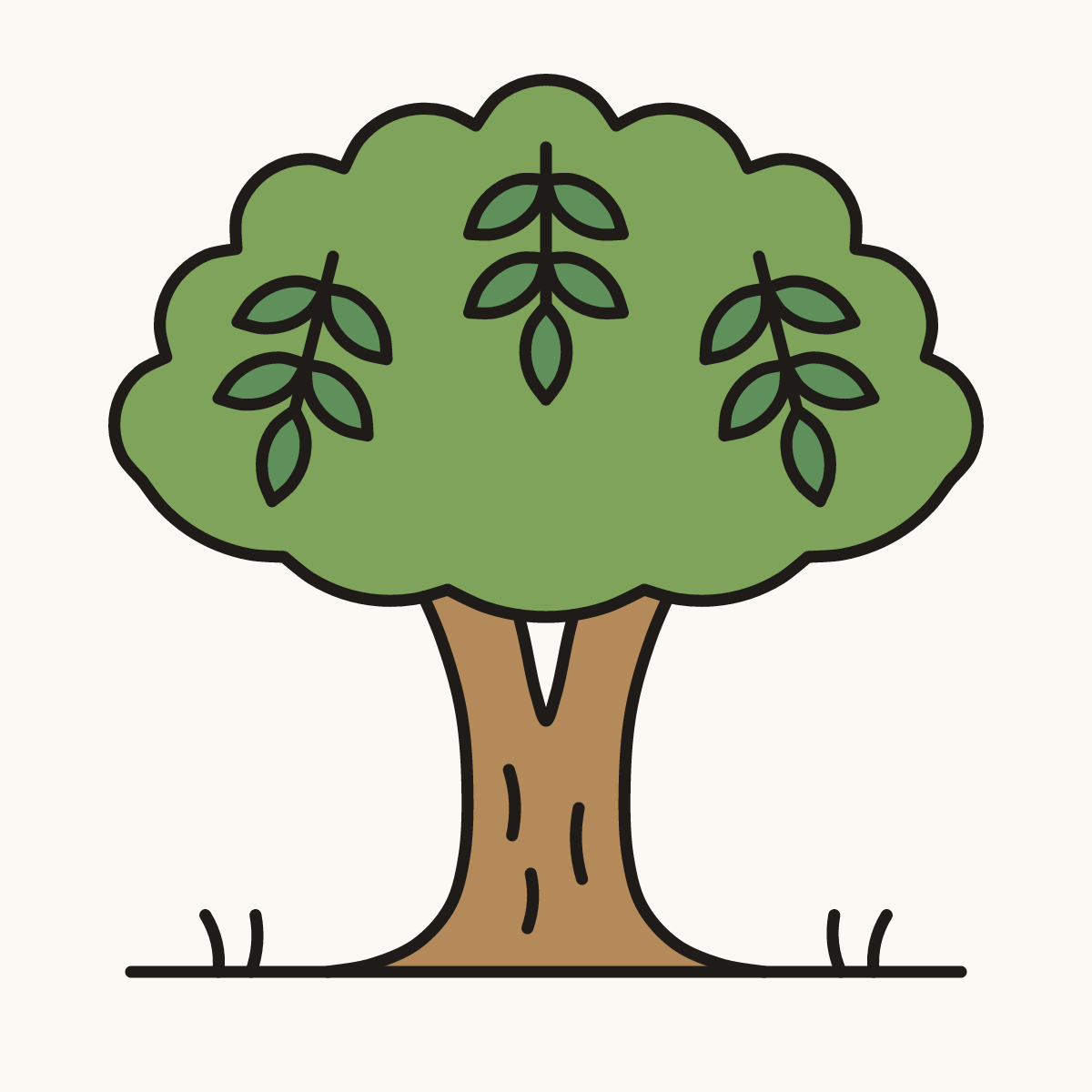 Finished drawing of a neem tree