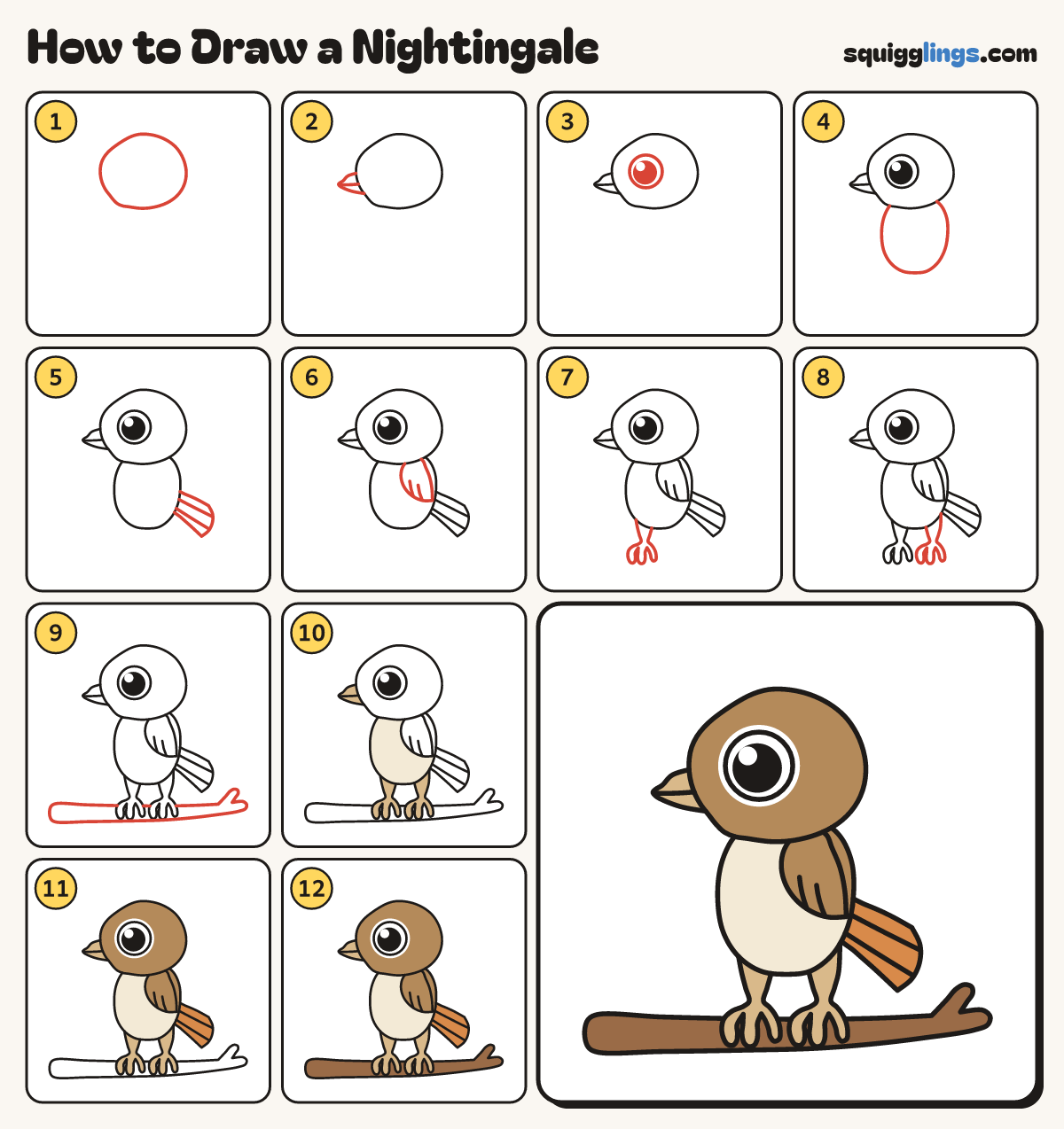 How to Draw a Nightingale step by step: all 12 steps in one picture