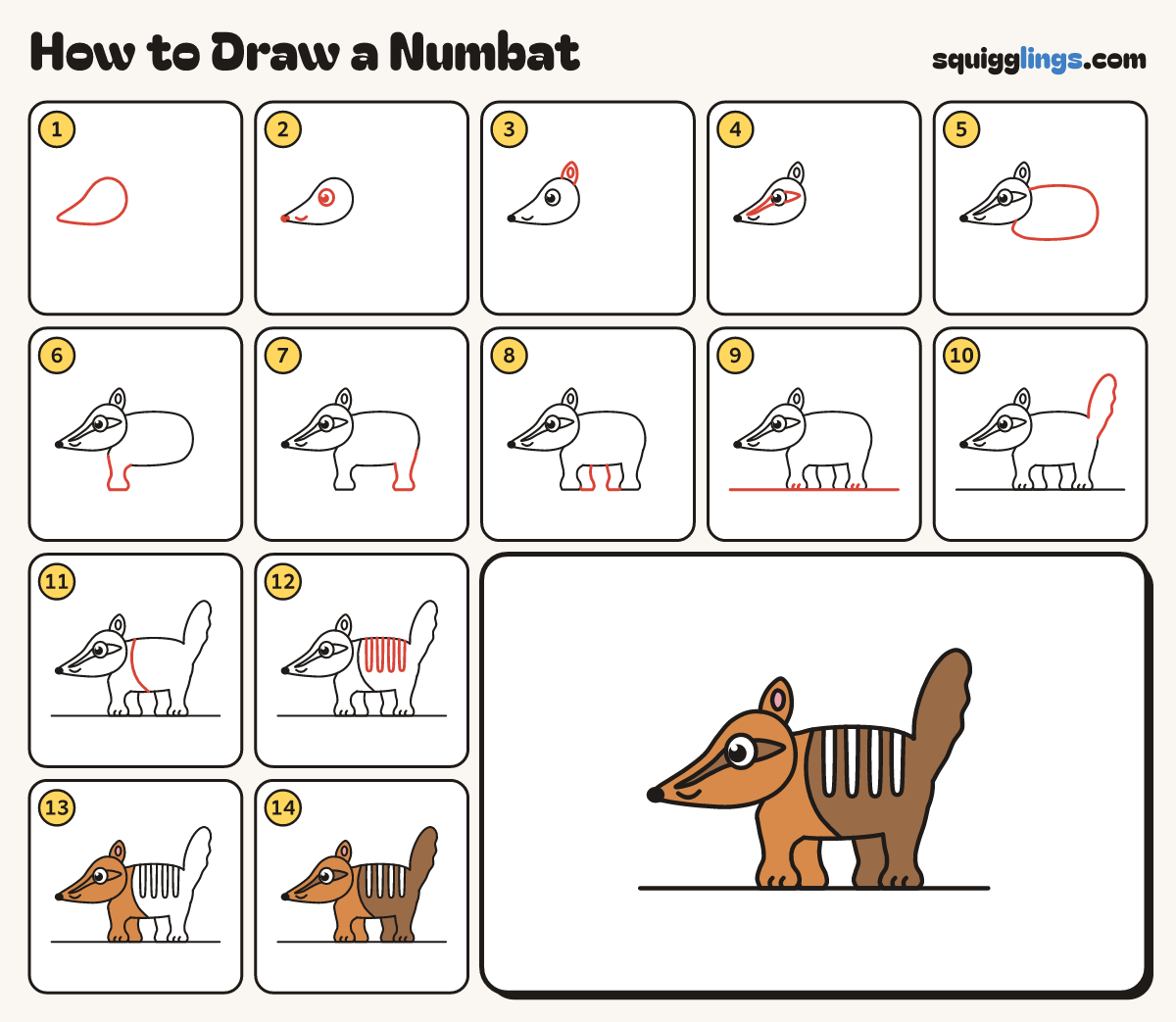 How to Draw a Numbat step by step: all 14 steps in one picture