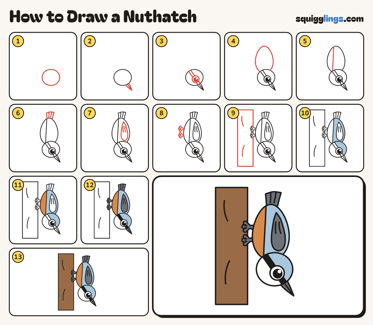 How to Draw a Nuthatch step by step: all 13 steps in one picture