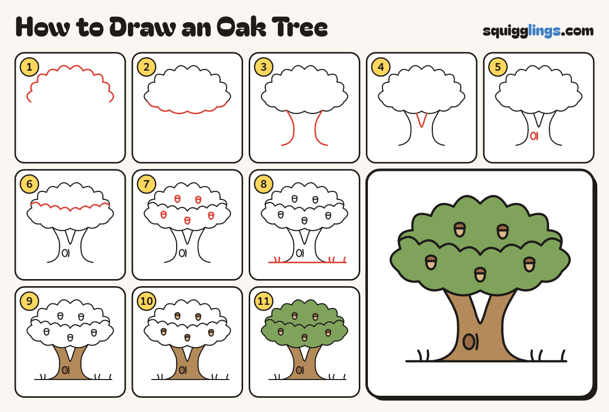 How to Draw an Oak Tree step by step: all 11 steps in one picture