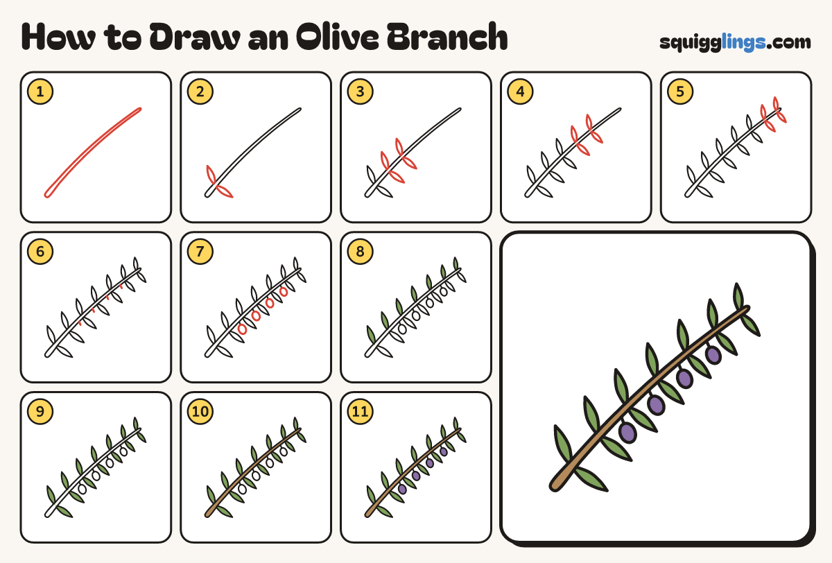 How to Draw an Olive Branch step by step: all 11 steps in one picture