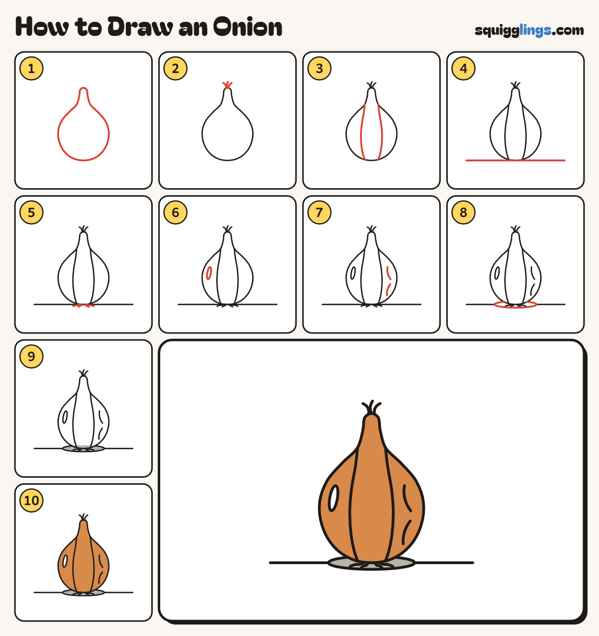 How to Draw an Onion step by step: all 10 steps in one picture