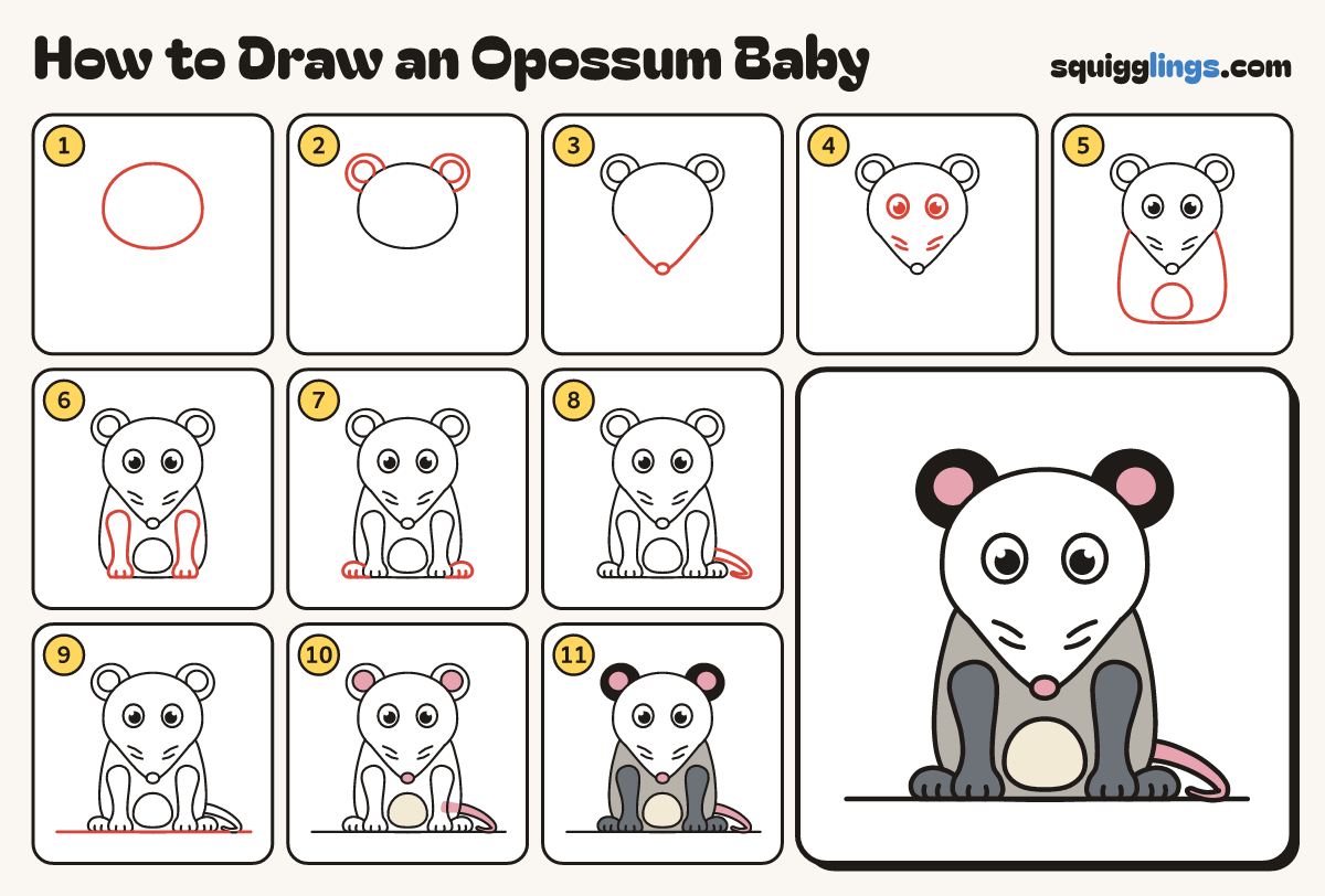 How to Draw an Opossum Baby step by step: all 11 steps in one picture