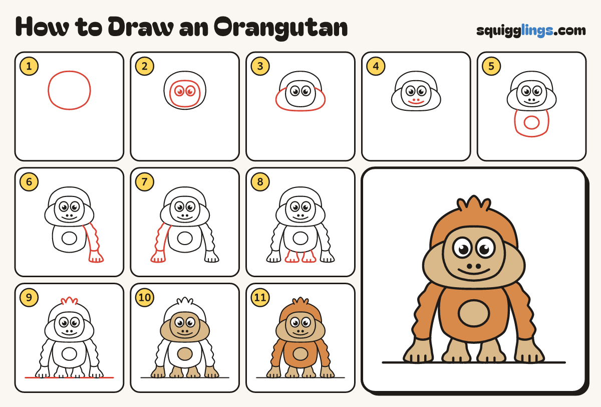 How to Draw an Orangutan step by step: all 11 steps in one picture