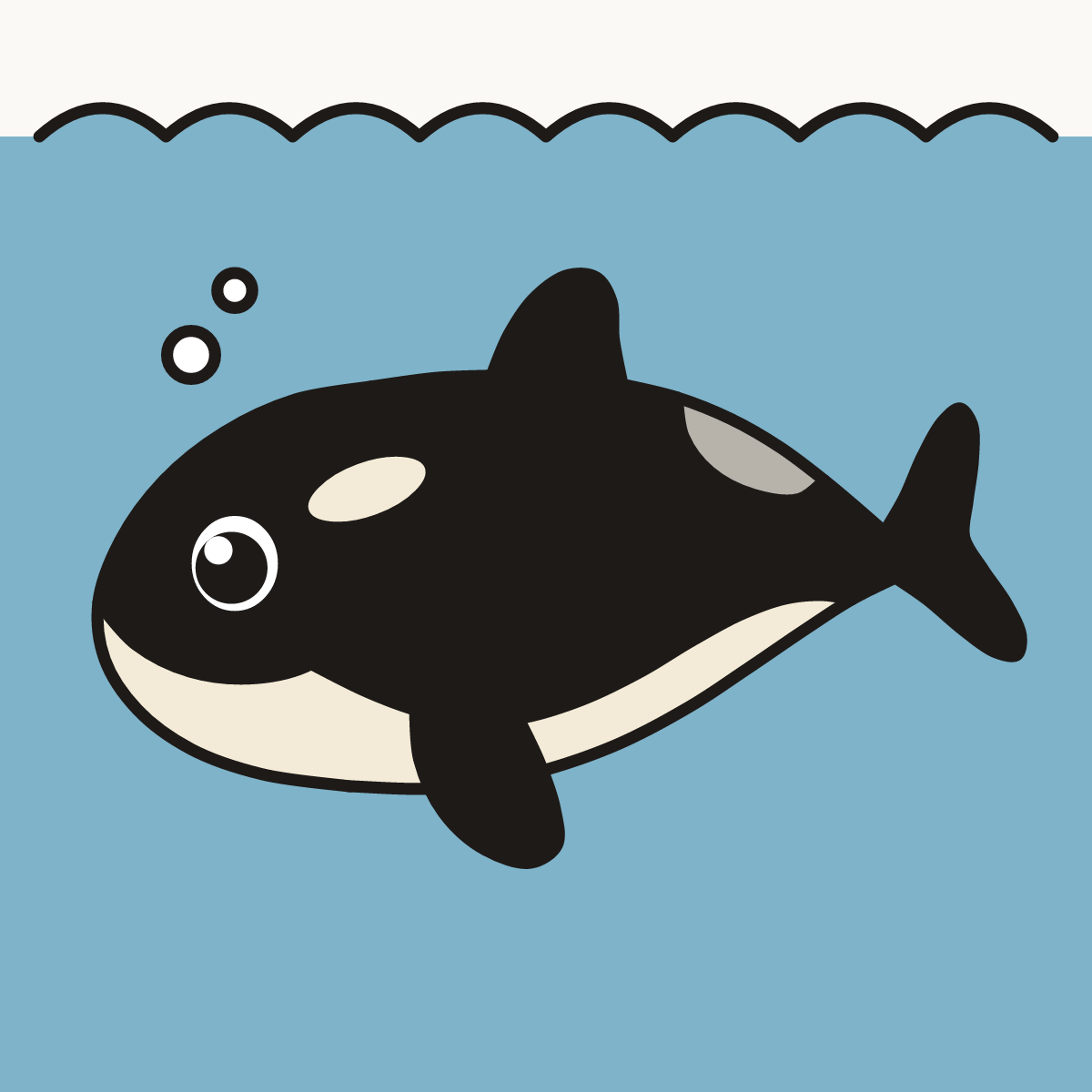 Finished drawing of a baby killer whale