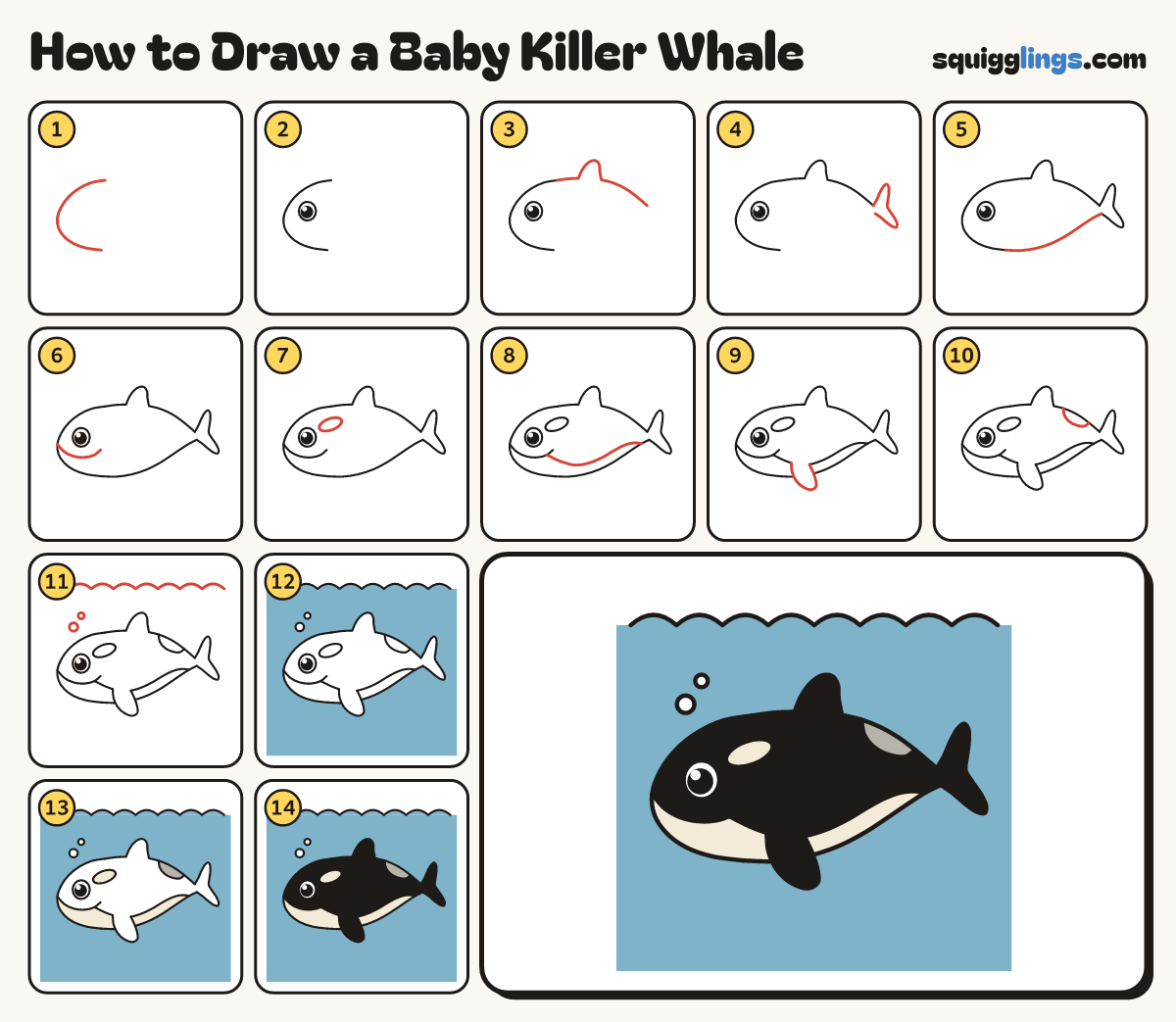 How to Draw a Baby Killer Whale step by step: all 14 steps in one picture
