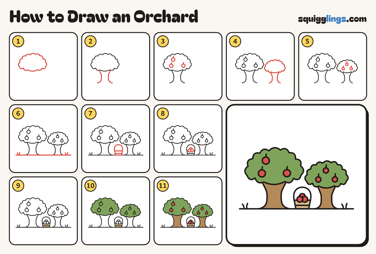 How to Draw an Orchard step by step: all 11 steps in one picture