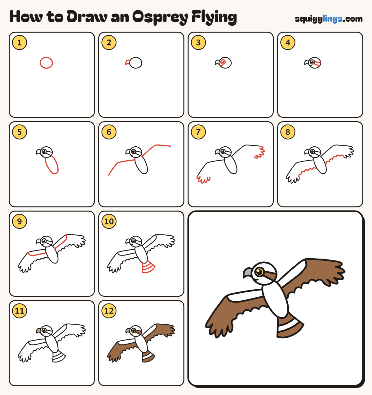 How to Draw an Osprey Flying step by step: all 12 steps in one picture