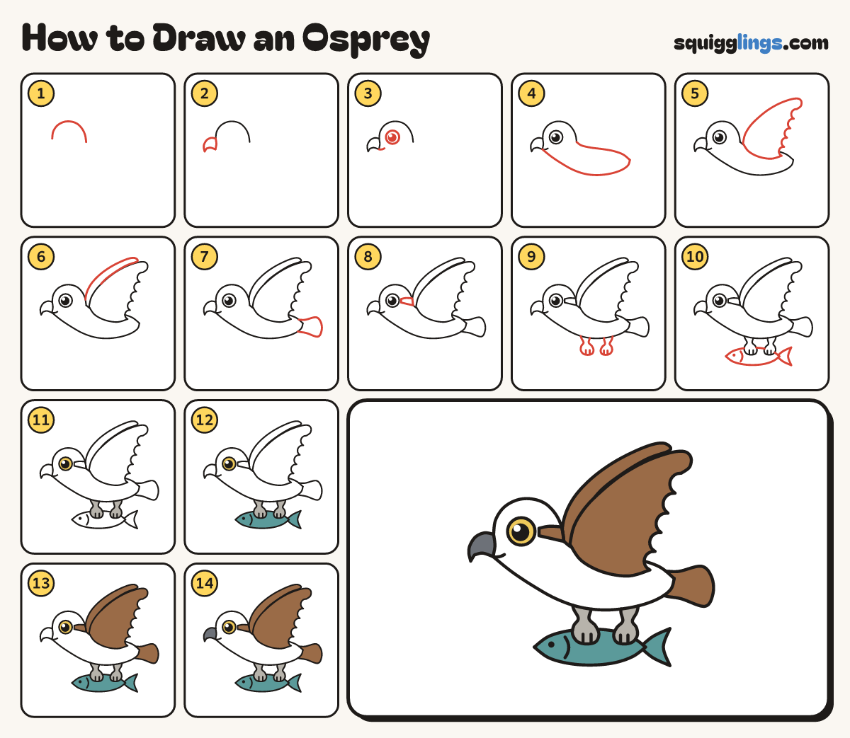 How to Draw an Osprey step by step: all 14 steps in one picture