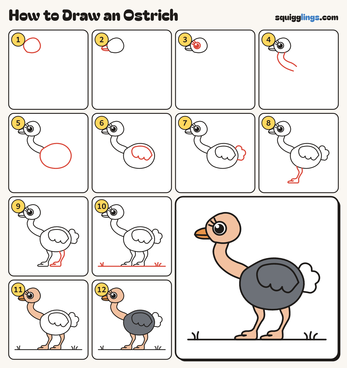 How to Draw an Ostrich step by step: all 12 steps in one picture