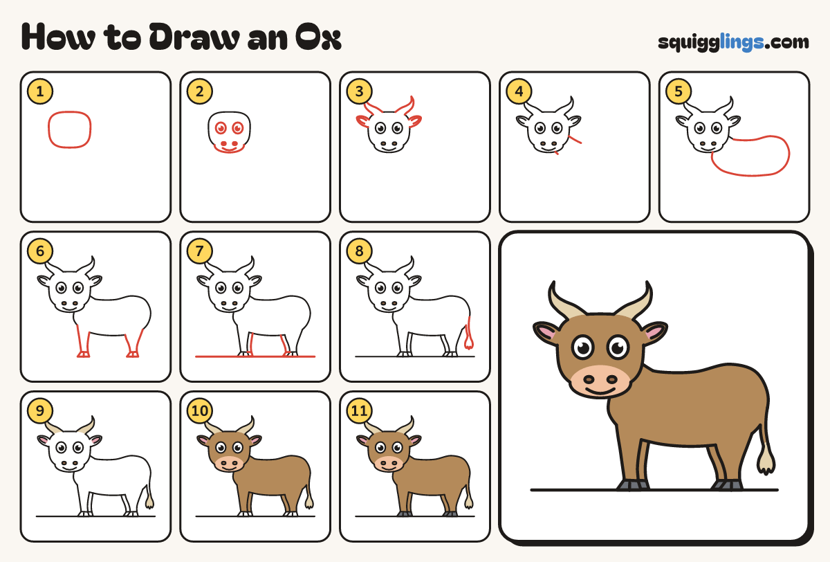 How to Draw an Ox step by step: all 11 steps in one picture