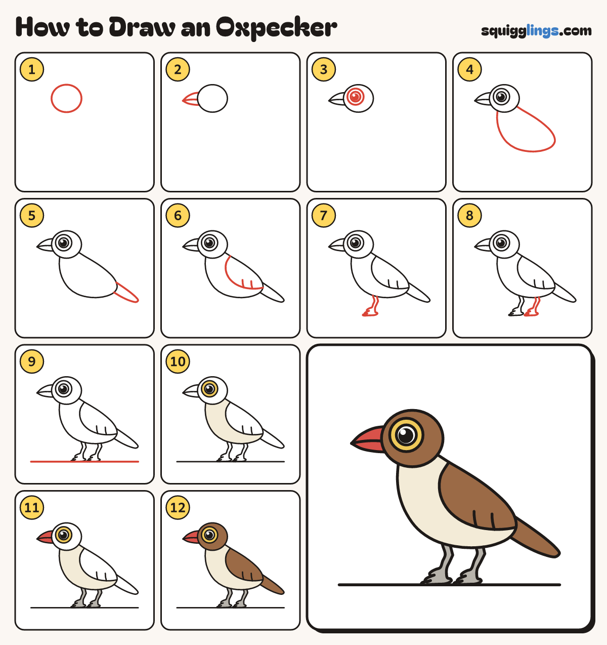 How to Draw an Oxpecker step by step: all 12 steps in one picture