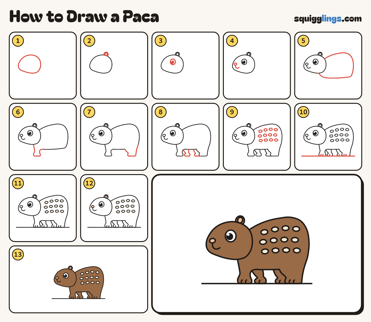How to Draw a Paca step by step: all 13 steps in one picture