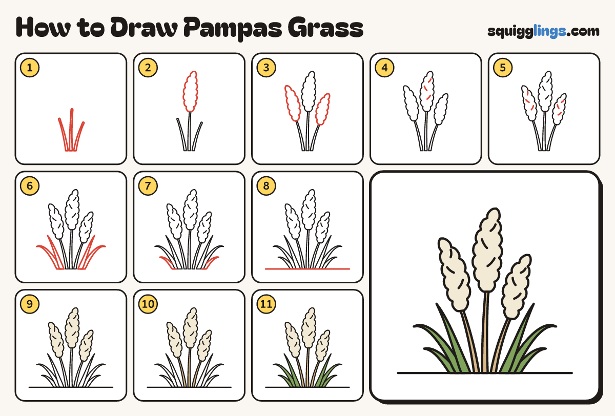 How to Draw Pampas Grass step by step: all 11 steps in one picture