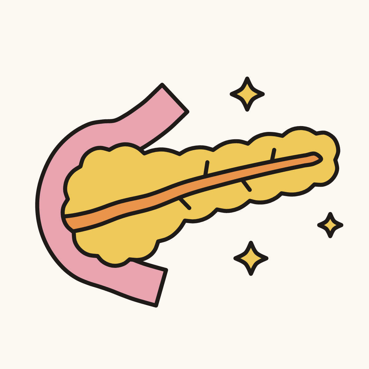 Finished drawing of pancreas