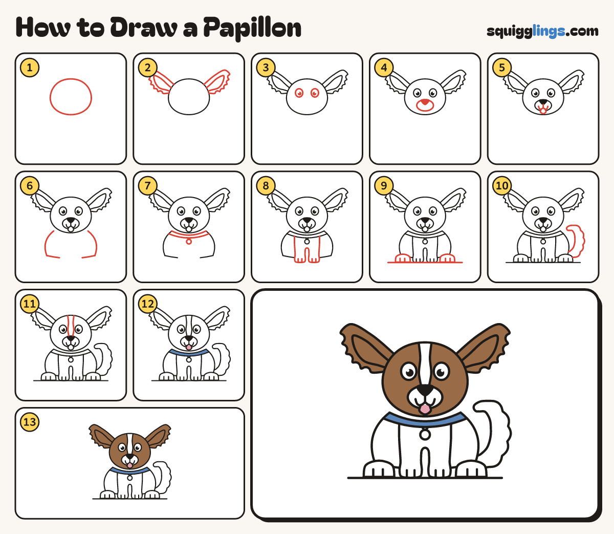 How to Draw a Papillon step by step: all 13 steps in one picture