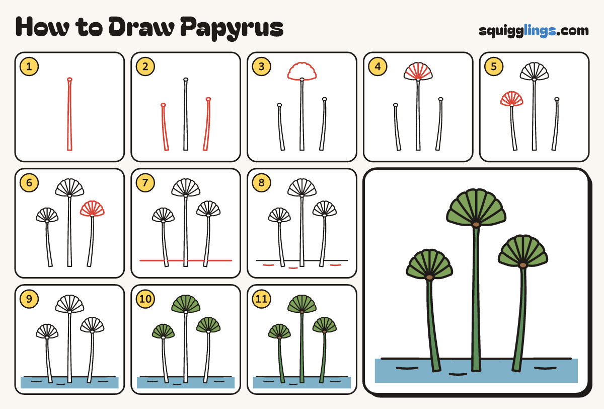How to Draw Papyrus step by step: all 11 steps in one picture