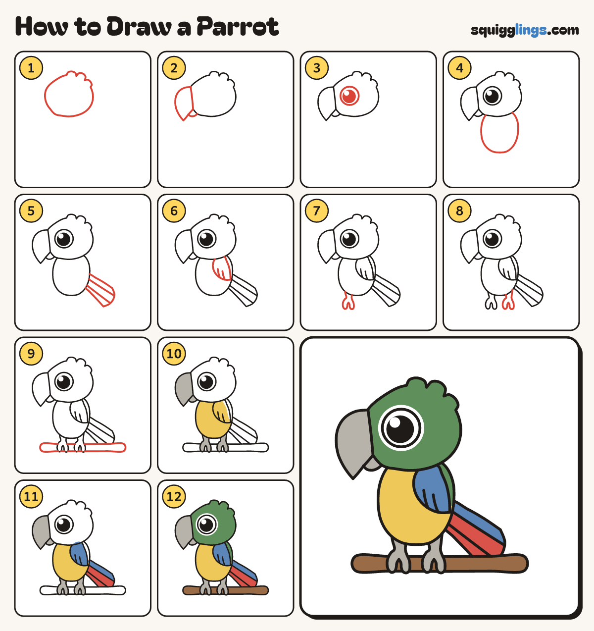 How to Draw a Parrot step by step: all 12 steps in one picture