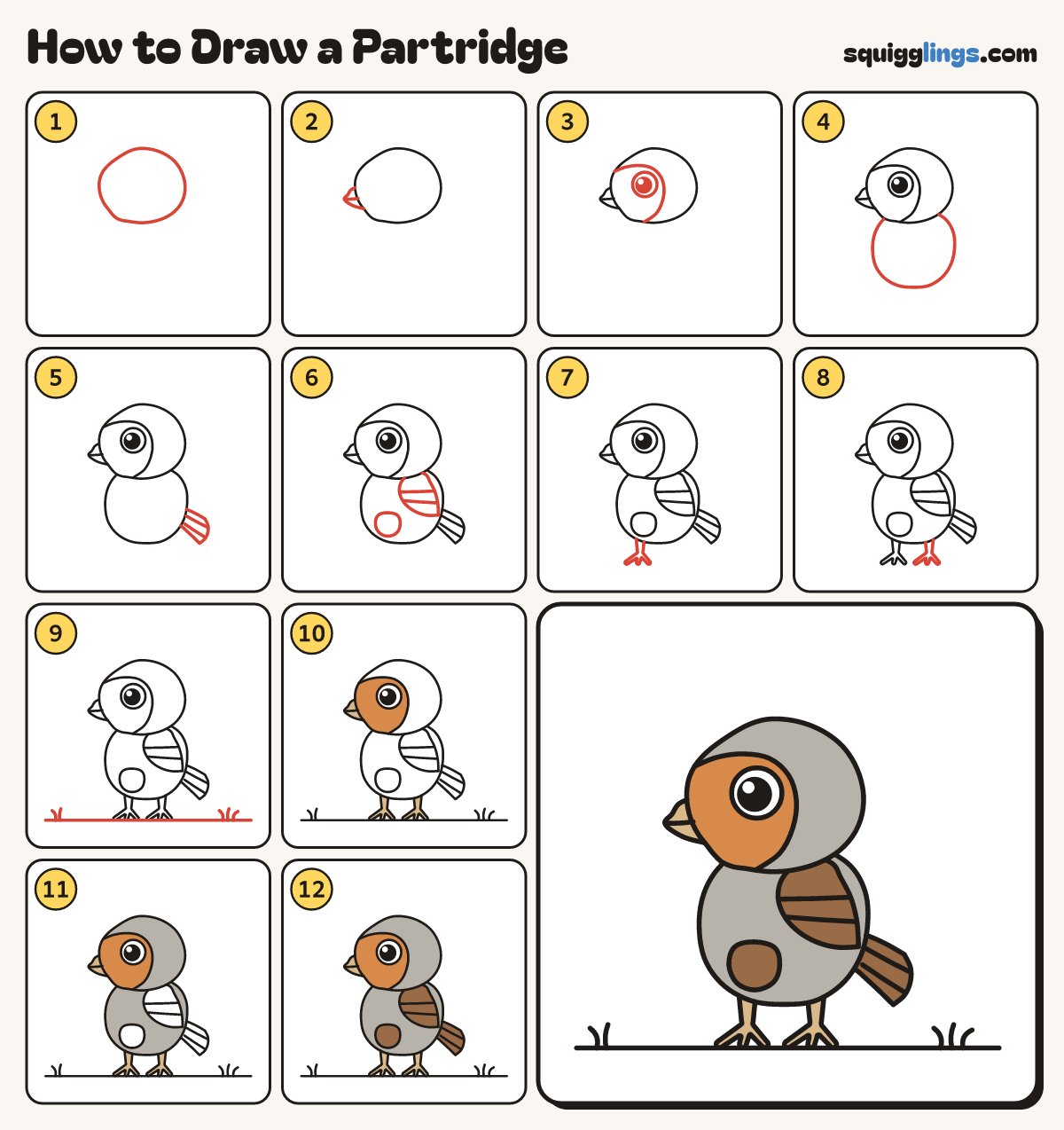 How to Draw a Partridge step by step: all 12 steps in one picture