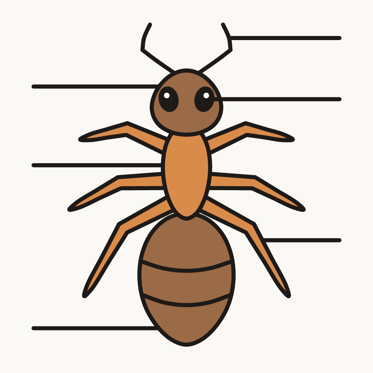 Finished drawing of parts of an insect