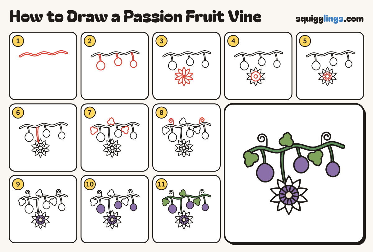 How to Draw a Passion Fruit Vine step by step: all 11 steps in one picture