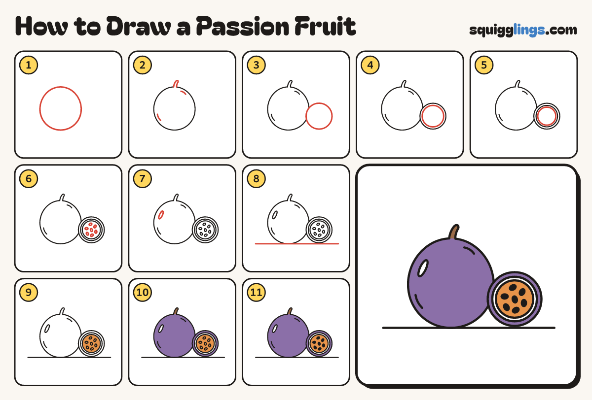 How to Draw a Passion Fruit step by step: all 11 steps in one picture