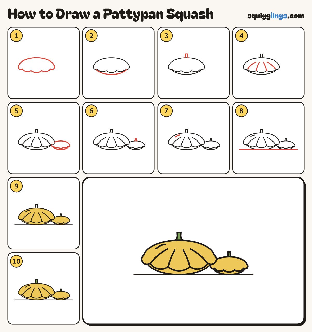 How to Draw a Pattypan Squash step by step: all 10 steps in one picture