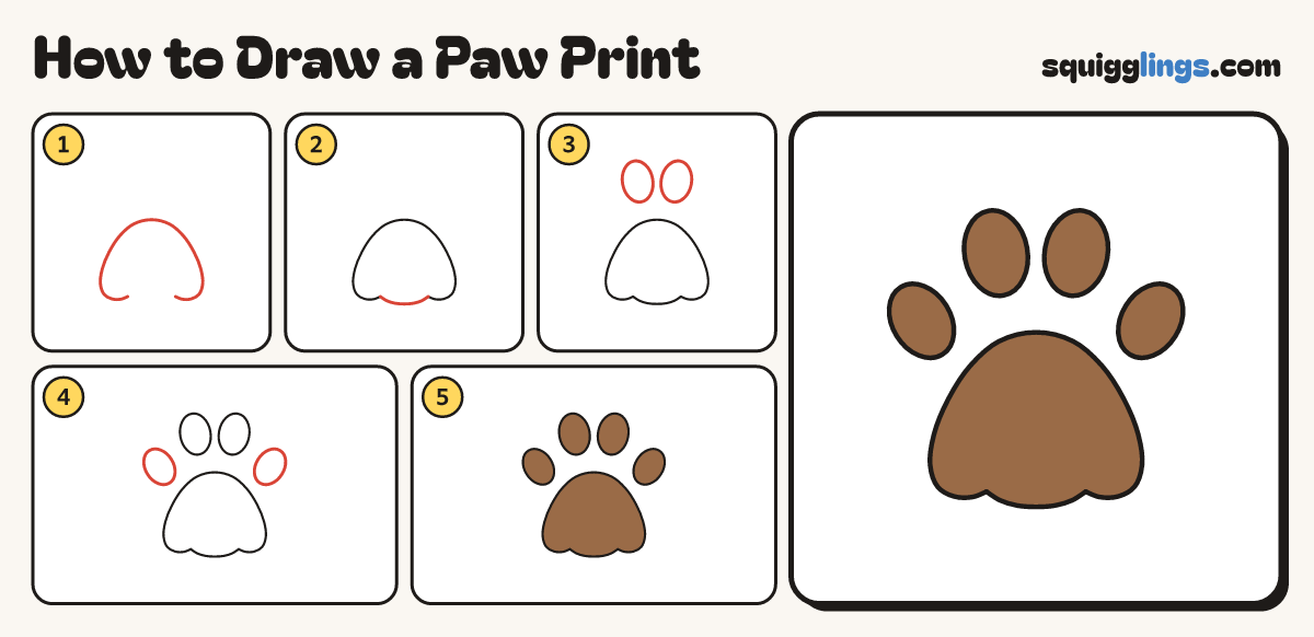 How to Draw a Paw Print step by step: all 5 steps in one picture