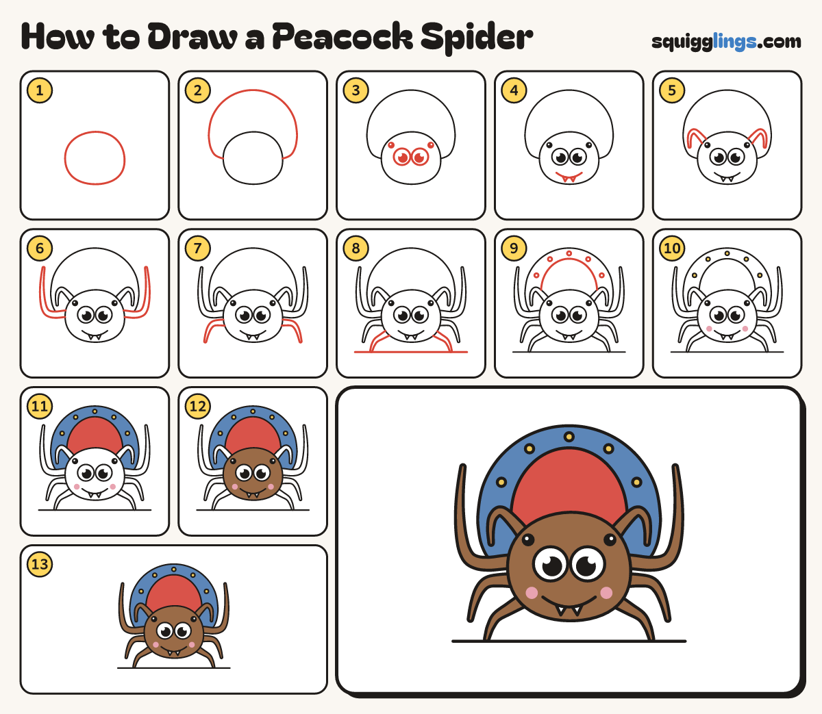 How to Draw a Peacock Spider step by step: all 13 steps in one picture