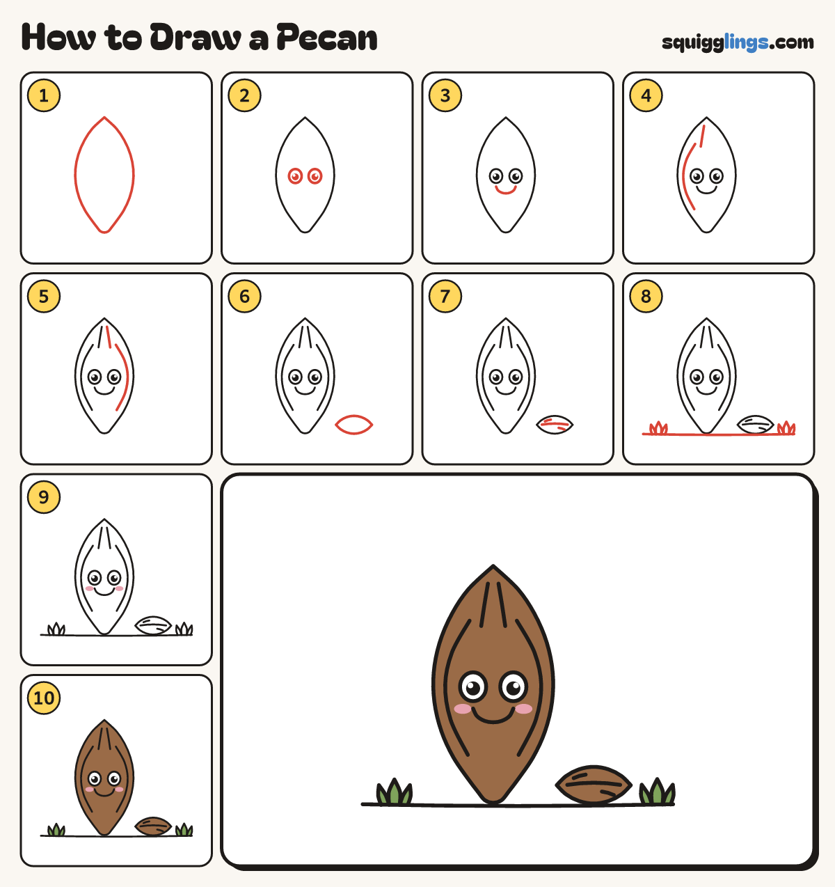 How to Draw a Pecan step by step: all 10 steps in one picture