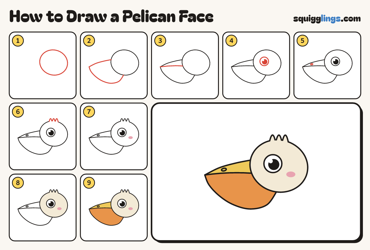 How to Draw a Pelican Face step by step: all 9 steps in one picture