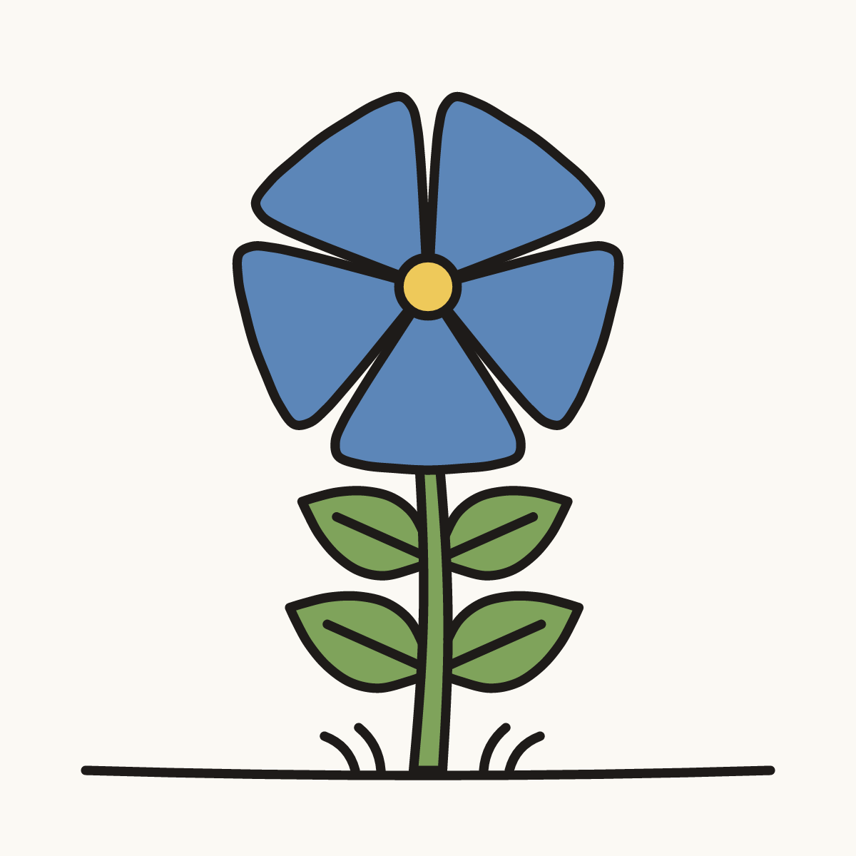Finished drawing of a periwinkle