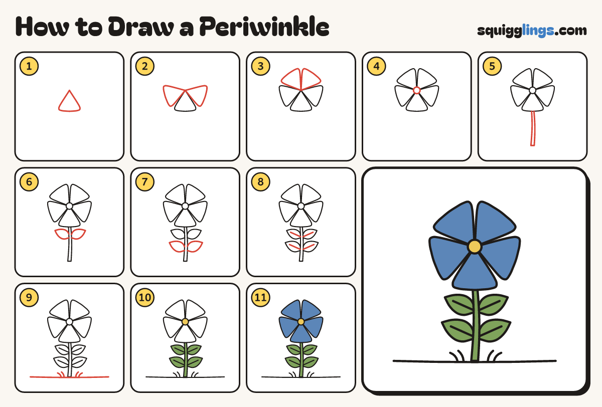 How to Draw a Periwinkle step by step: all 11 steps in one picture