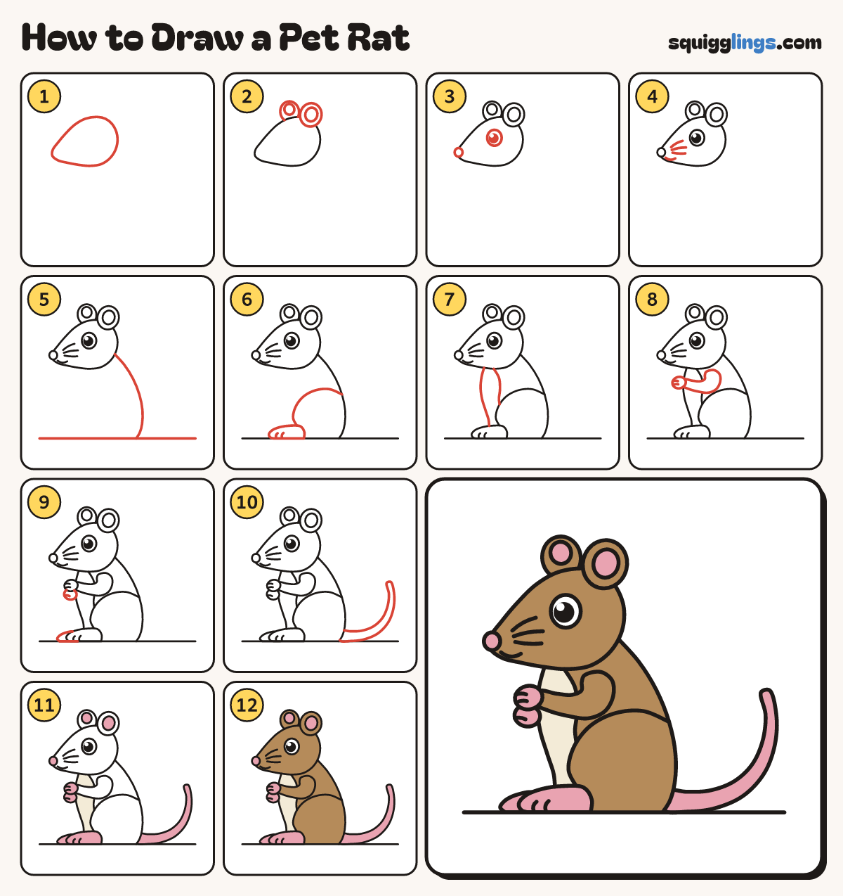 How to Draw a Pet Rat step by step: all 12 steps in one picture