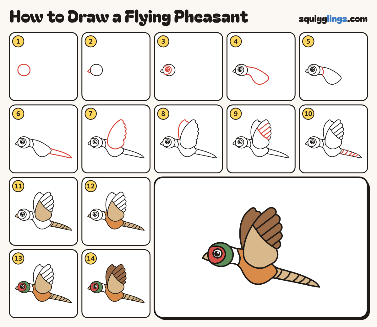 How to Draw a Flying Pheasant step by step: all 14 steps in one picture