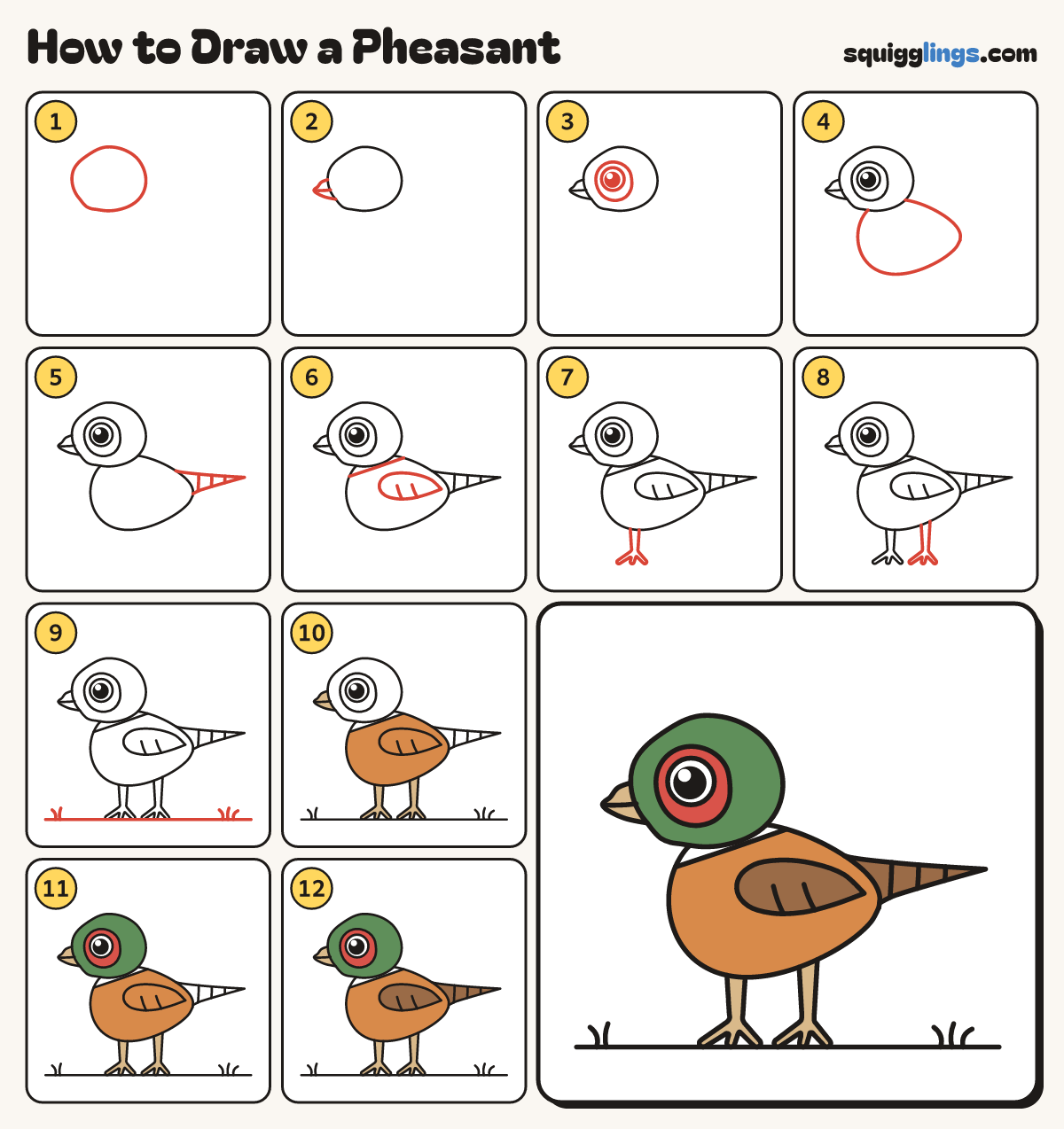 How to Draw a Pheasant step by step: all 12 steps in one picture