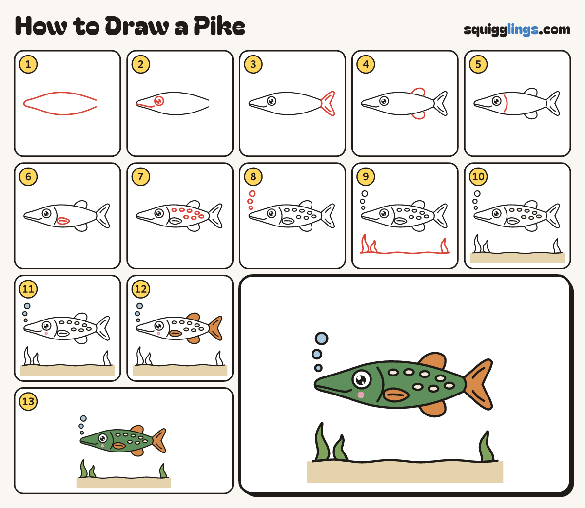 How to Draw a Pike step by step: all 13 steps in one picture