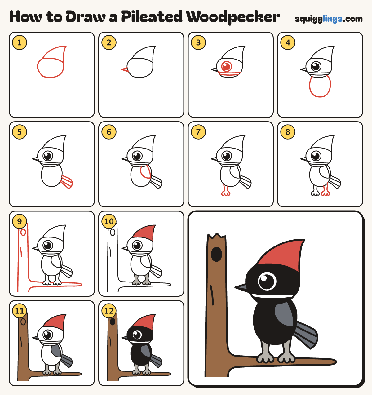 How to Draw a Pileated Woodpecker step by step: all 12 steps in one picture