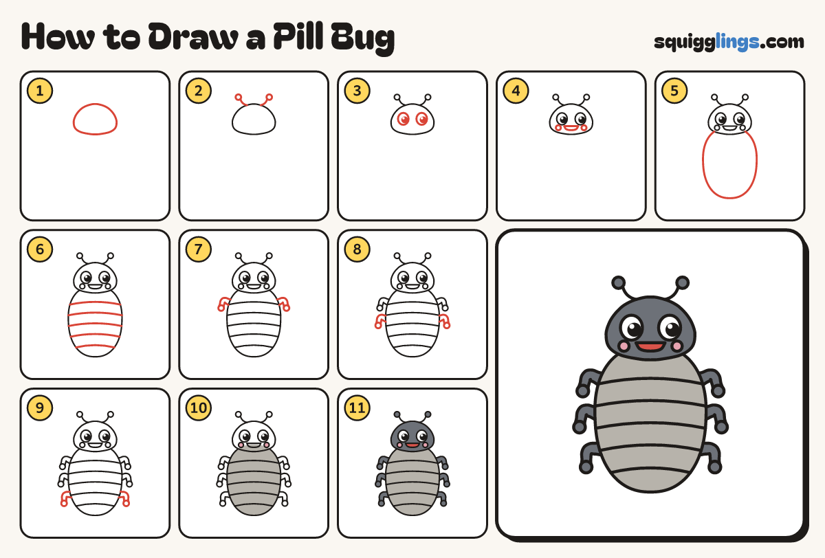 How to Draw a Pill Bug step by step: all 11 steps in one picture
