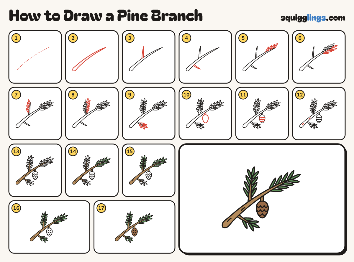 How to Draw a Pine Branch step by step: all 17 steps in one picture