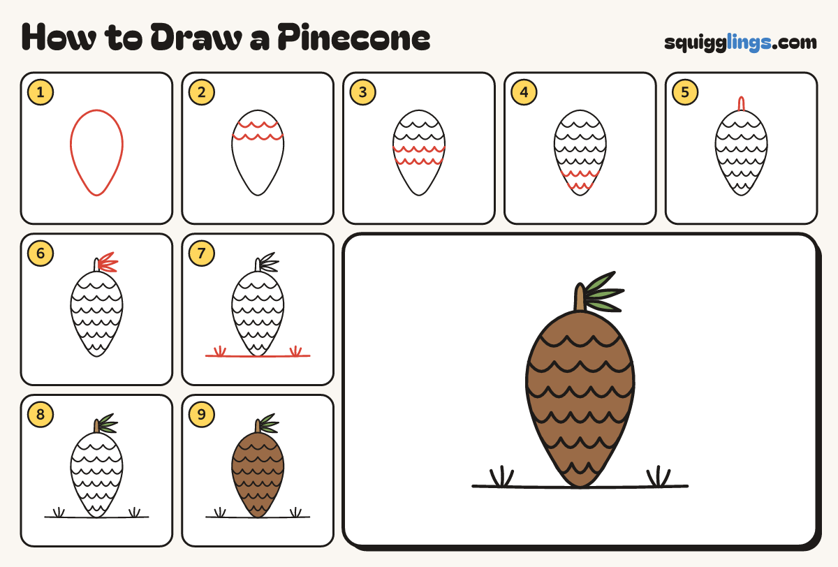 How to Draw a Pinecone step by step: all 9 steps in one picture
