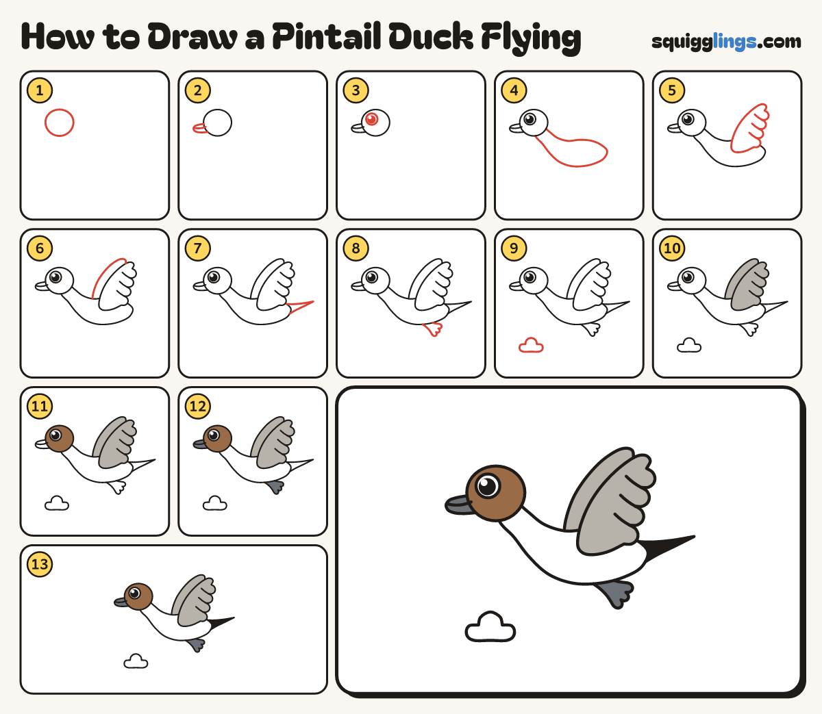How to Draw a Pintail Duck Flying step by step: all 13 steps in one picture