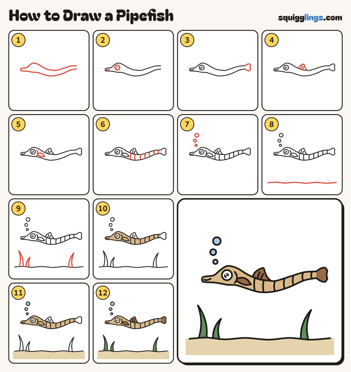 How to Draw a Pipefish step by step: all 12 steps in one picture