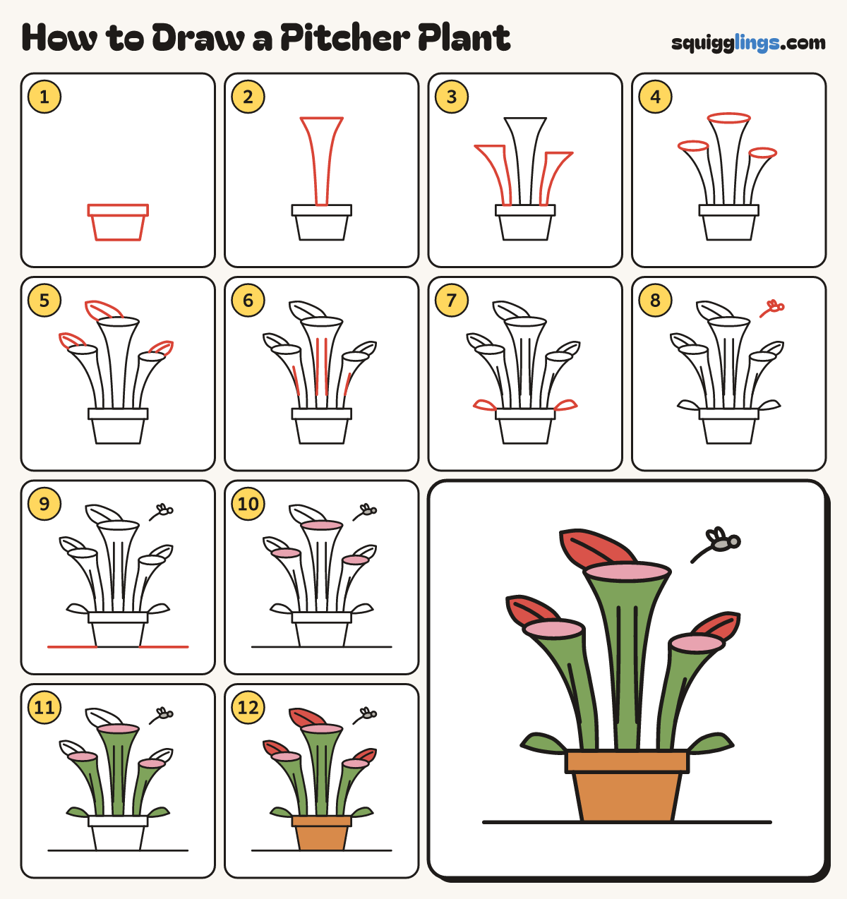 How to Draw a Pitcher Plant step by step: all 12 steps in one picture