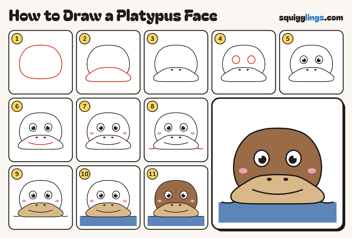 How to Draw a Platypus Face step by step: all 11 steps in one picture