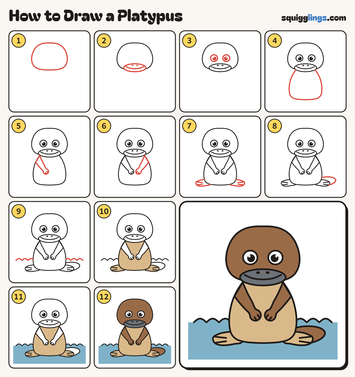 How to Draw a Platypus step by step: all 12 steps in one picture