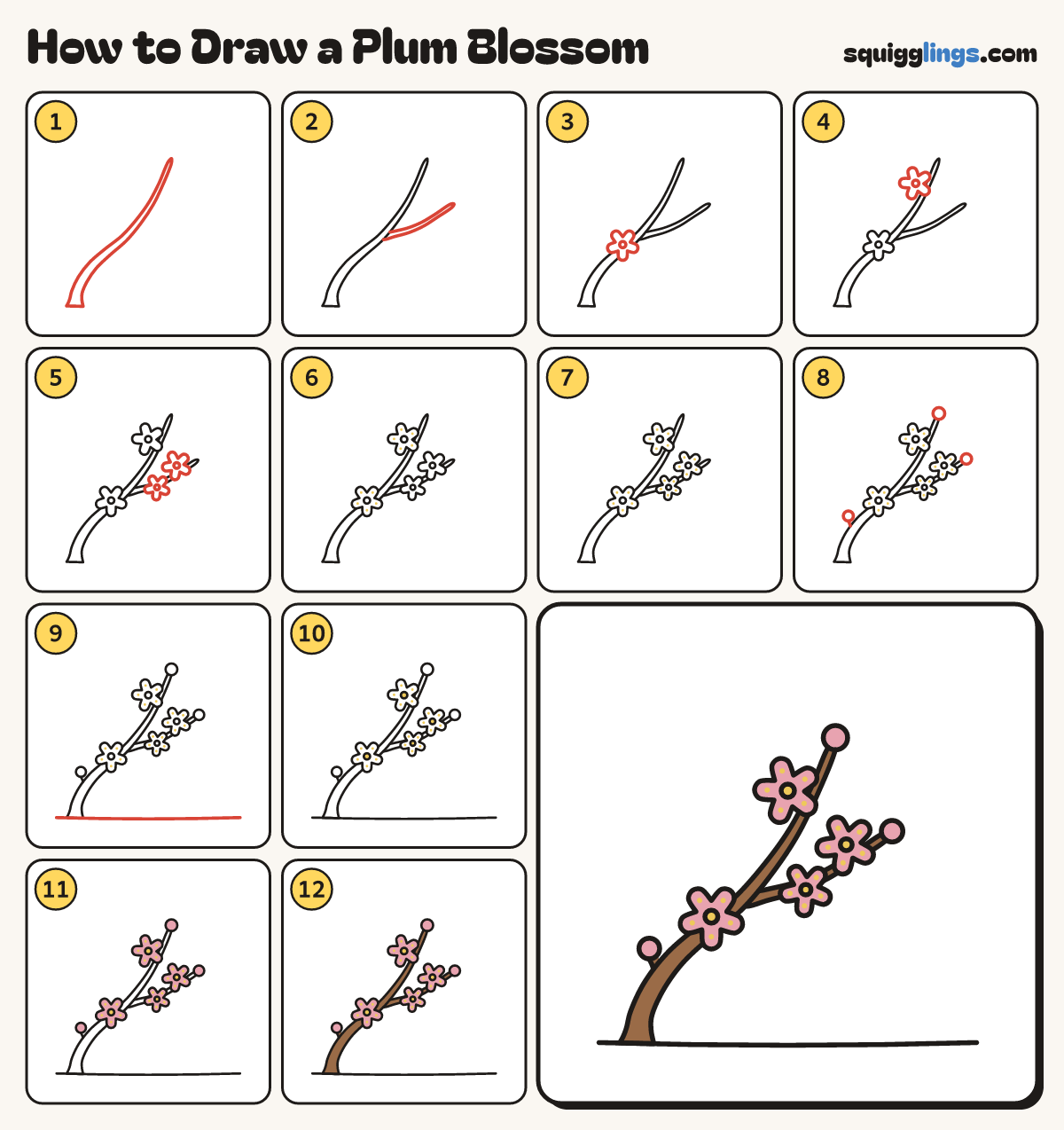 How to Draw a Plum Blossom step by step: all 12 steps in one picture