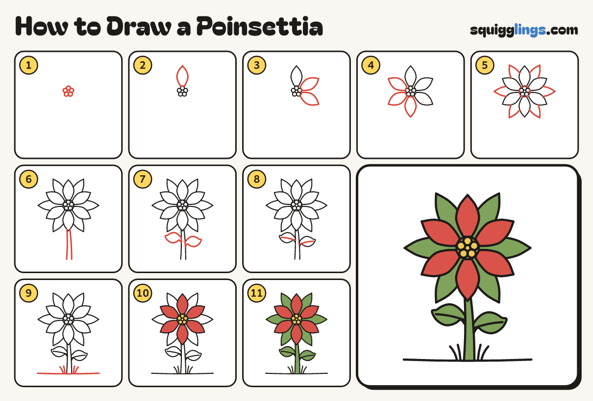 How to Draw a Poinsettia step by step: all 11 steps in one picture