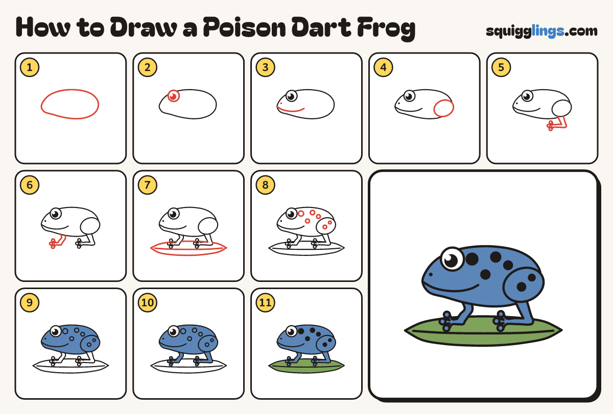 How to Draw a Poison Dart Frog step by step: all 11 steps in one picture